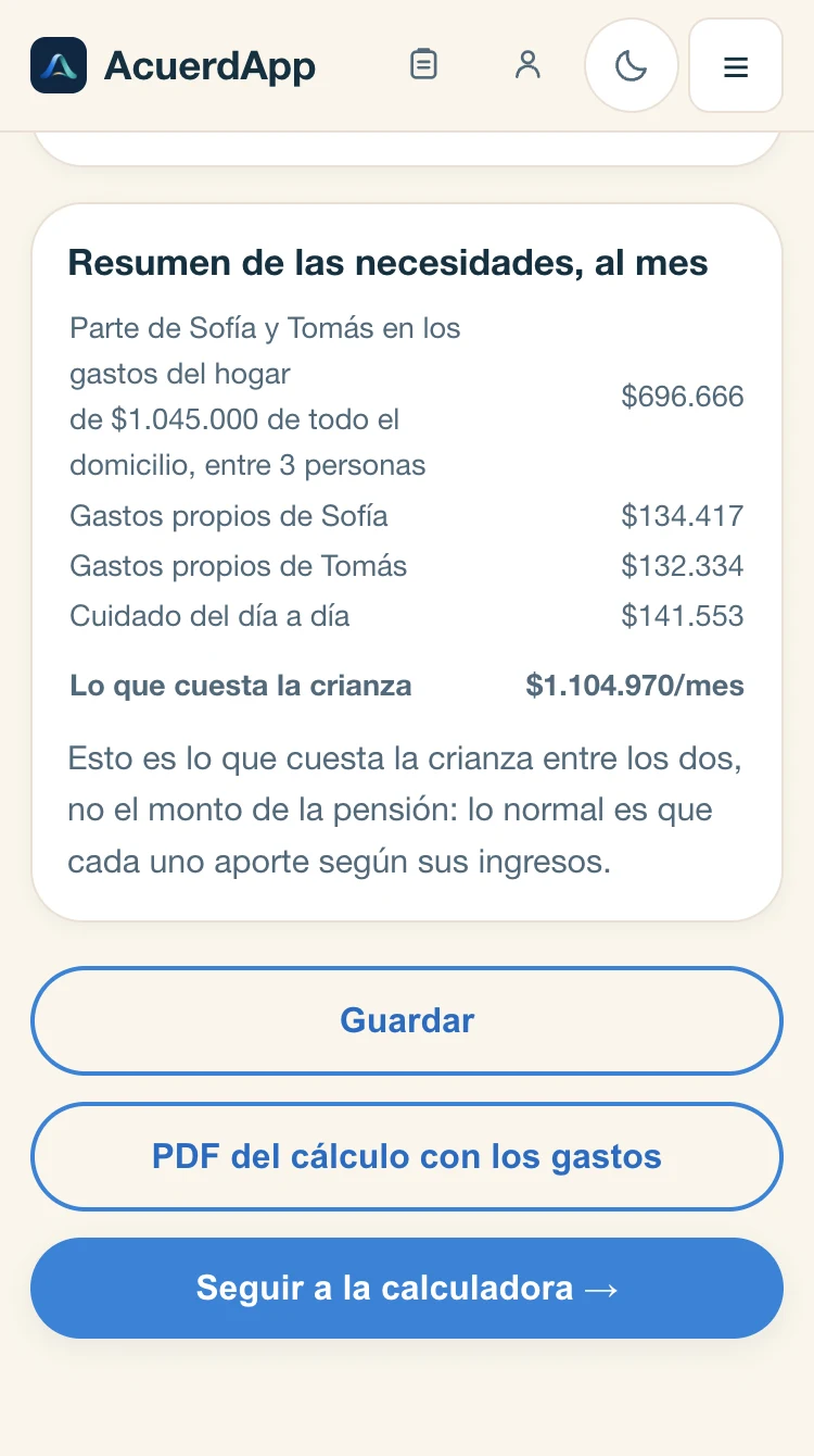 «Resumen de las necesidades, al mes»: la parte de Sofía y Tomás en los gastos del hogar, los gastos propios de cada uno y el cuidado del día a día; en total, lo que cuesta la crianza.